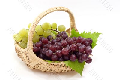 Basket with Grapes