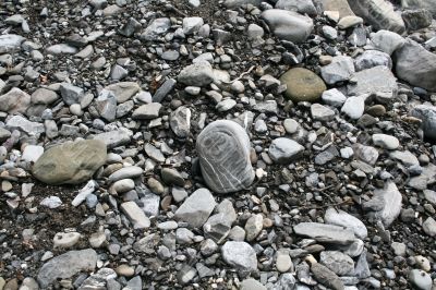 Pebbles on the river bank