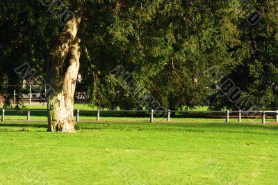 barrier and pathway