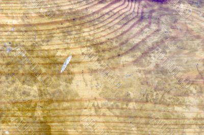 Fragment of textured old wood