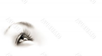 Women`s eye - looking forward.Isolated on white.