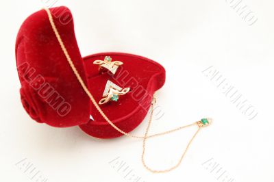 adornment still life