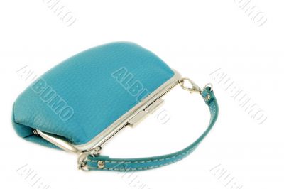turquoise feminine purse