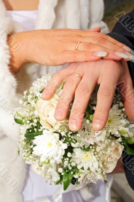 wedding hands wedding hands