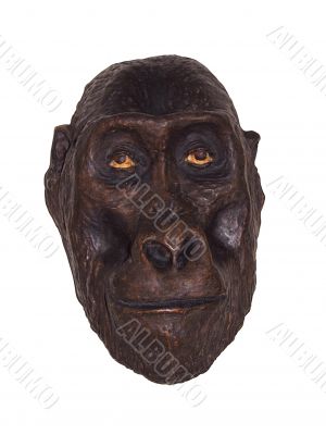 Gorilla mask Gorilla mask