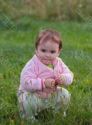 on the meadow