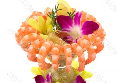 Shrimp Cocktail