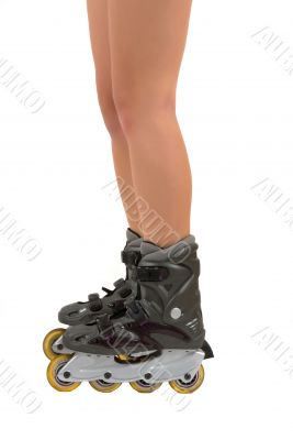 Roller Blades