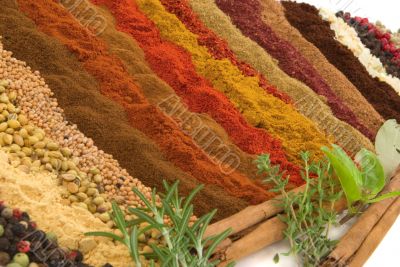 Spices and Herbs