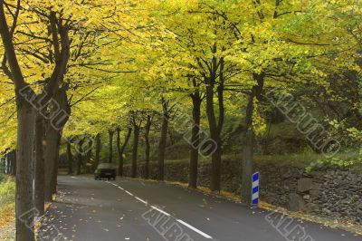 Soon evening Soon evening