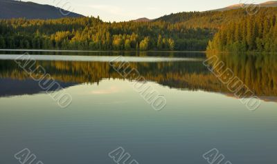 Lake silence.