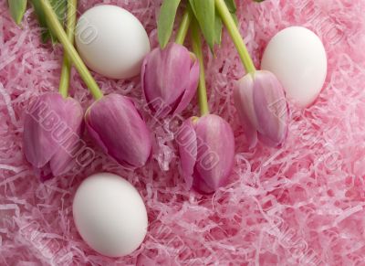 Easter Easter