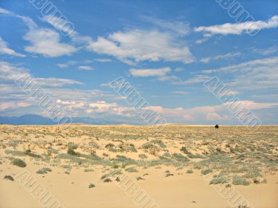 Chara Sands. Desert Landscape.