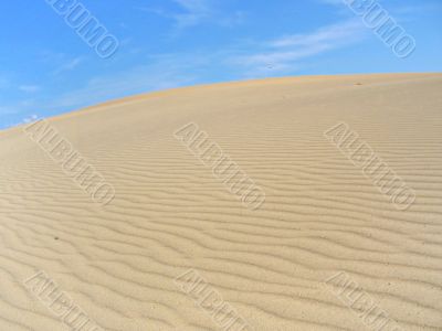 Taiga desert landscape 05