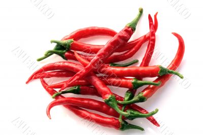 Red Hot Chili Peppers Red Hot Chili Peppers