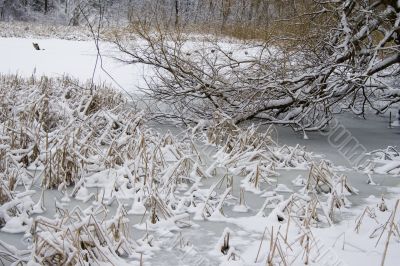 Winter lake shore view