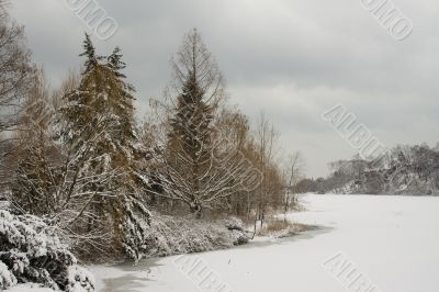 Winter lake shore view