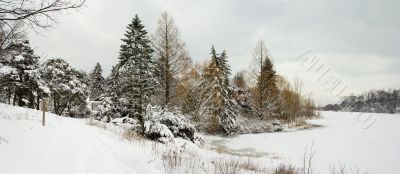Winter lake shore view