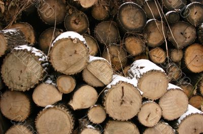 Firewood Chop firewood Stove Chop firewood Woods