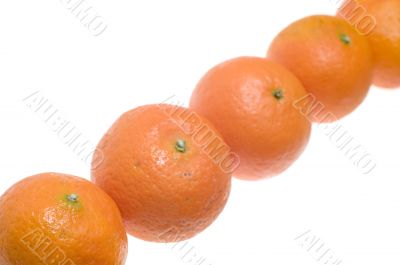 mandarin close up