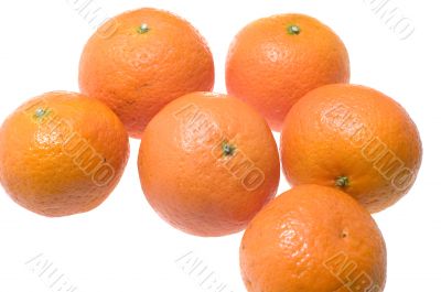 mandarin on white