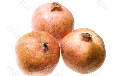 Three pomegranate