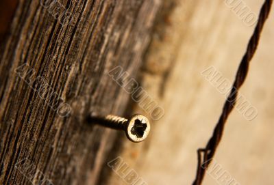 Screw Screw