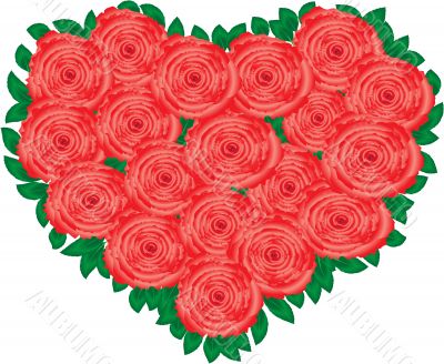 ROSE HEART ROSE HEART