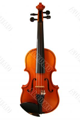 violin