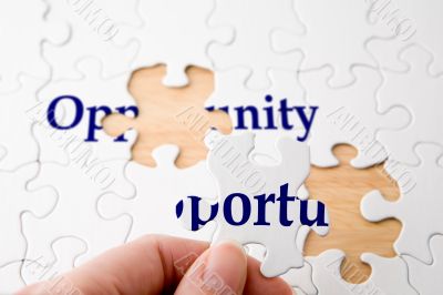 Opportunity Puzzle
