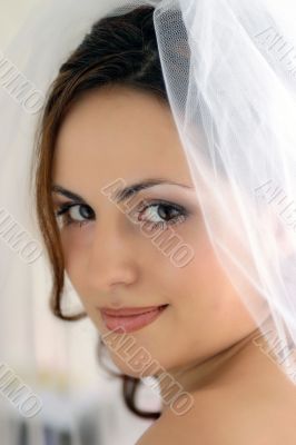Pretty bride with veil