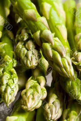 asparagus asparagus