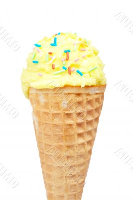 Delicious vanilla ice cream