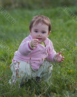 on the meadow on the meadow