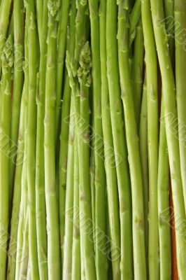 Fresh asparagus