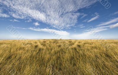 Simple horizon on a blue sky