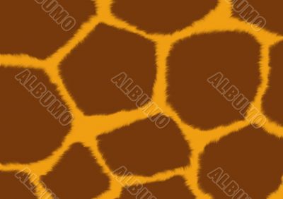 Texture - a fluffy skin of a giraffe