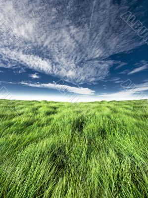 Blue and green horizon