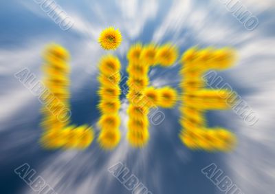 Life Life