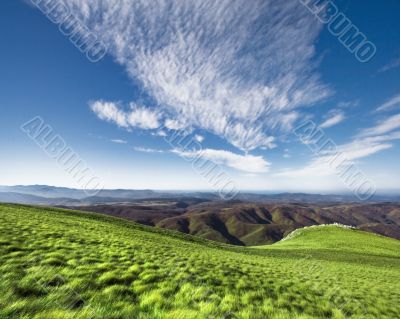 Greenery and blue sky