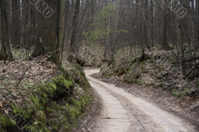 Descent in a ravine.