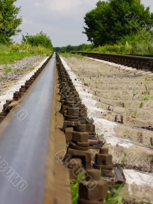 Old rails, summer