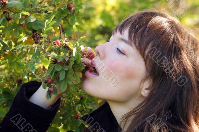 hips berries