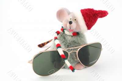 mouse and glasses