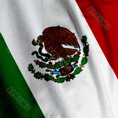 Mexican Flag Closeup