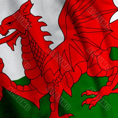 Welsh Flag Closeup