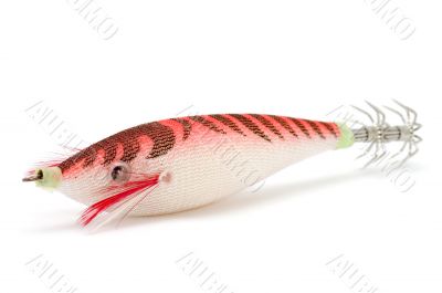 red ledger-bait