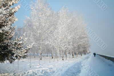 Snow-covered path