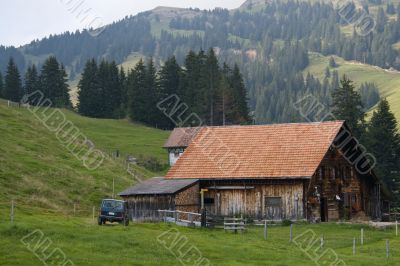 Cattle-breeding farm. Swiss Farm and yard.