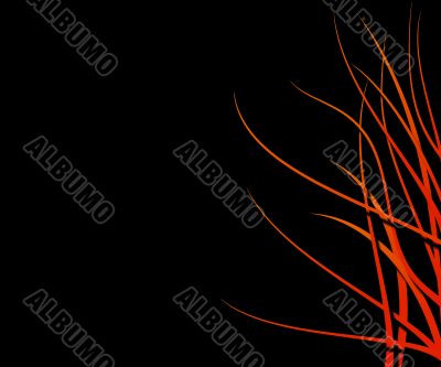 flame border flame border